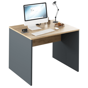 KONDELA Písací stôl, grafit/dub artisan, RIOMA NEW TYP 12